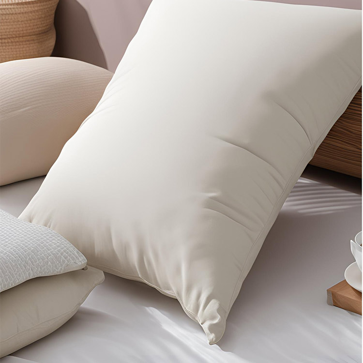 PILLOW-2 PILLOW-2